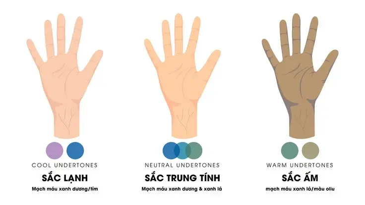 3 Undertone (tông nền) khác nhau