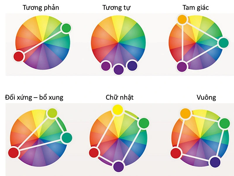 bảng phối màu quần áo